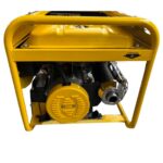 خرید موتور برق HP 20900 FE2 استارتی